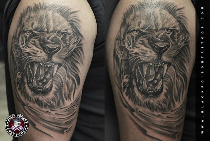 Lion Tattoos