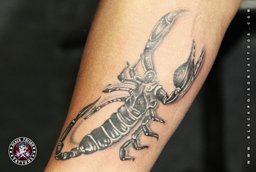 Scorpion Tattoo